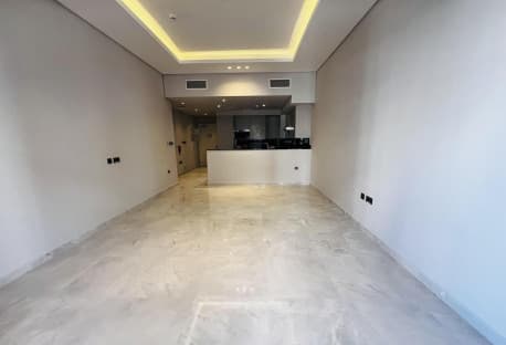 BRAND NEW Luxury 2 bedroom APARTMENT-SF FURNISHED