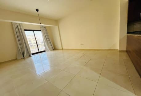 Luxury One bedroom APARTMENT-SF FURNISHED|