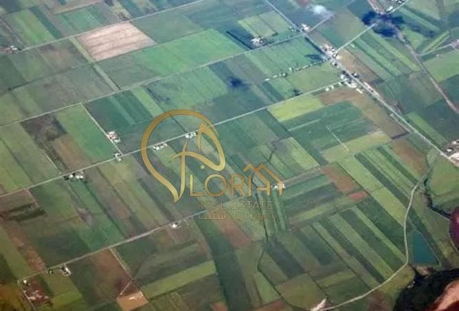 Best Price | Land for sale| In Lusail Egara | 3.9M