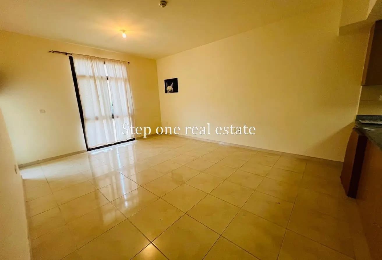 Luxury One bedroom APARTMENT-SF FURNISHED|