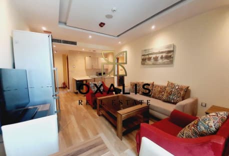 BILLS FREE | MODERN 2BHK FULLY FURNISHED APARTMENT