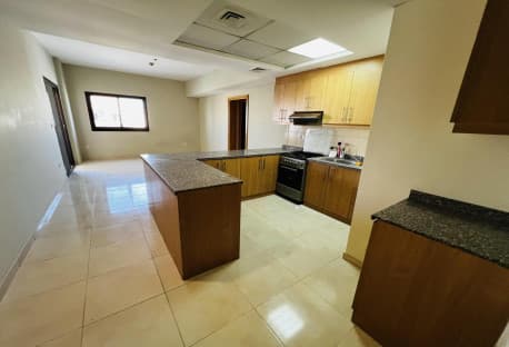 Luxury One bedroom APARTMENT-UF FURNISHED|