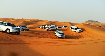 Desert Safari In Qatar